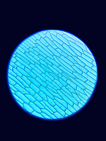 a blue circular object with a black background